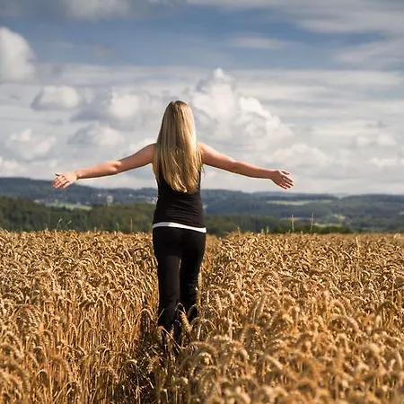 Vulkanhotel Balance&selfness ***s Steffeln