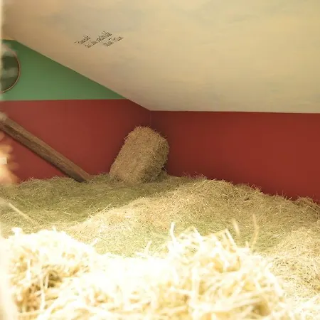 Vulkanhotel Balance&selfness ***s ホテル Steffeln