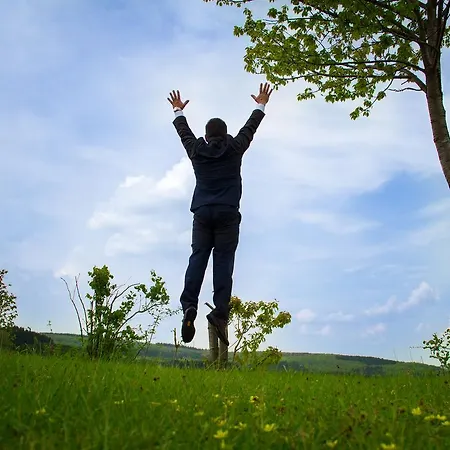 Vulkanhotel Balance&selfness ***s ホテル