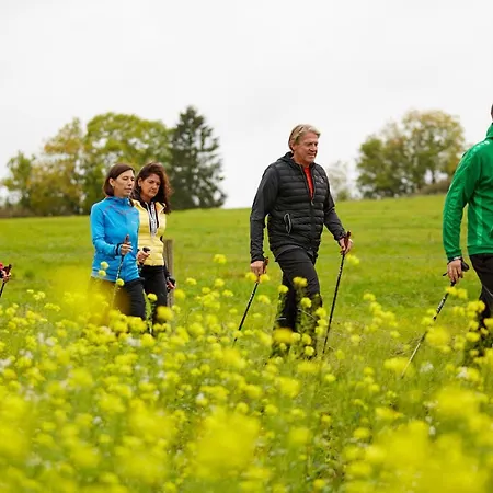 Vulkanhotel Balance&selfness ***s 3* Steffeln